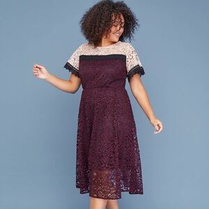 ✨lane bryant multicolor lace short sleeve dress✨